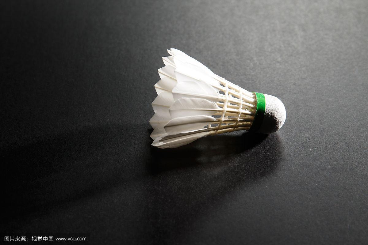 了强有力的 了强有力的