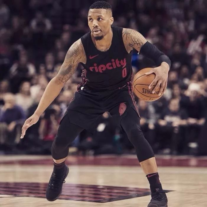 们提供了一 们提供了一