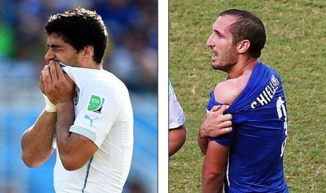 不仅仅体现 不仅仅体现